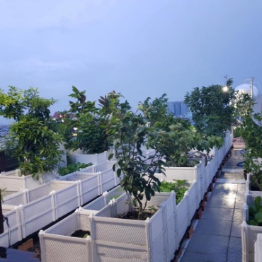 Hình ảnh cho danh mục Khay chậu trồng rau hoa