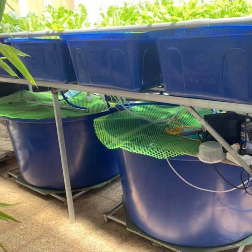 Ảnh của Bộ Aquaponics chuyên nghiệp AQ-TX04