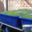 Ảnh của Bộ Aquaponics chuyên nghiệp AQ-TX04