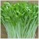 Ảnh của Hạt rau mầm rau muống Thái Lan siêu giòn ngọt -200g
