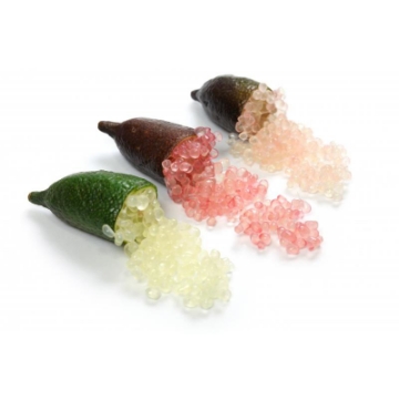 Ảnh của Cây Chanh ngón tay giống, Loại Chanh kỳ diệu, Finger lemon