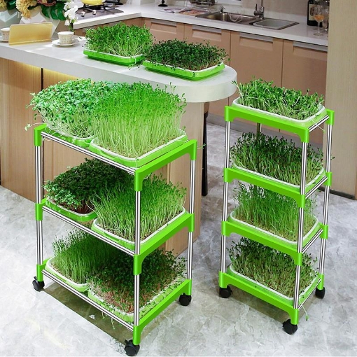 Ảnh của Bộ kit Khay trồng rau mầm thủy canh 2 lớp 2KM, Gồm Khay, Giá đỡ, Vòi xịt, Hạt giống