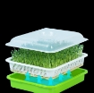 รูปภาพของ Bộ kit Khay trồng rau mầm thủy canh 3 lớp 3KM, Gồm Khay, Giá đỡ, Bình xịt, Hạt giống