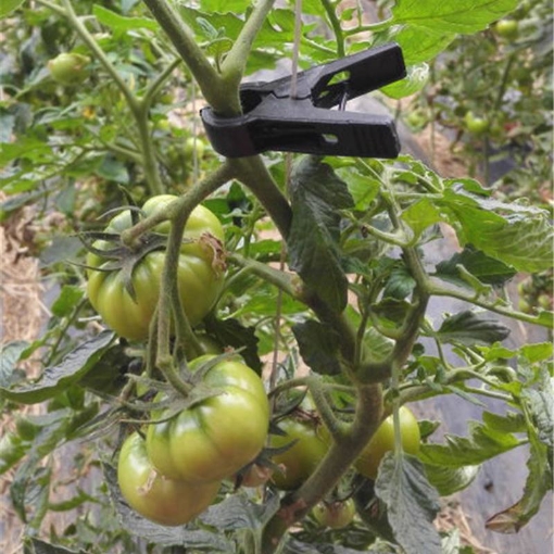 Ảnh của Kẹp nhựa cố định dây leo KDL-20, Kẹp cà chua, Kẹp dưa lưới, dưa leo, Kẹp nho, Kẹp hoa