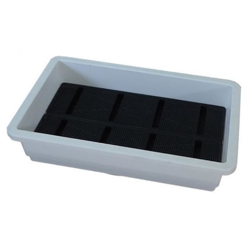 รูปภาพของ Khay, Chậu Thông Minh cỡ lớn (Trắng sâu)