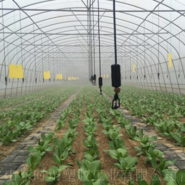 Hình ảnh cho danh mục Backup