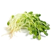 รูปภาพของ Hạt giống rau mầm hướng dương - 500g