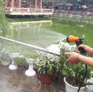 Ảnh của Bộ vòi xịt nước tưới cây, rửa xe 8 trong 1, kèm 20m dây 8/11