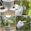 Gambar Cuộn băng ghép cành BGC-3, Cuộn phim ghép cây, Băng nilon ghép cành tự dính 3cm