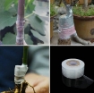 Gambar Cuộn băng ghép cành BGC-3, Cuộn phim ghép cây, Băng nilon ghép cành tự dính 3cm