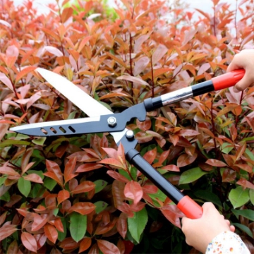 Ảnh của Kéo cắt tỉa cây lưỡi dài SK-535, Kéo cộng lực tỉa cây, Kéo đốn cây cảnh, Kìm cộng lực thép SK5