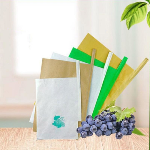 รูปภาพของ Túi Giấy bảo vệ trái cây FPB.TX 18*20 cm, Túi bọc Xoài, Ổi chống Ong Ruồi vàng côn trùng