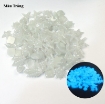 รูปภาพของ Sỏi phát sáng STC-380, Sỏi dạ quang trang trí, Tôm Cua Cá phát sáng ban đêm