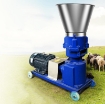 Ảnh của Máy ép cám viên KL-160 cho Gia súc, Gia cầm, Cá, Máy xay nghiền thức ăn đùn viên cám