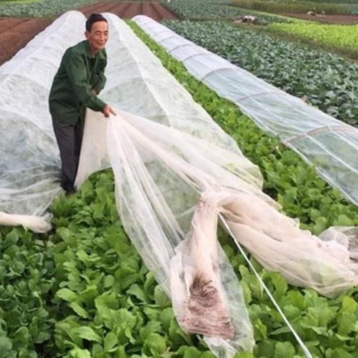 Ảnh của Màng Nilon che phủ gieo Mạ  MPE-V007, Màng PE chắn sương gió trồng Hoa Rau