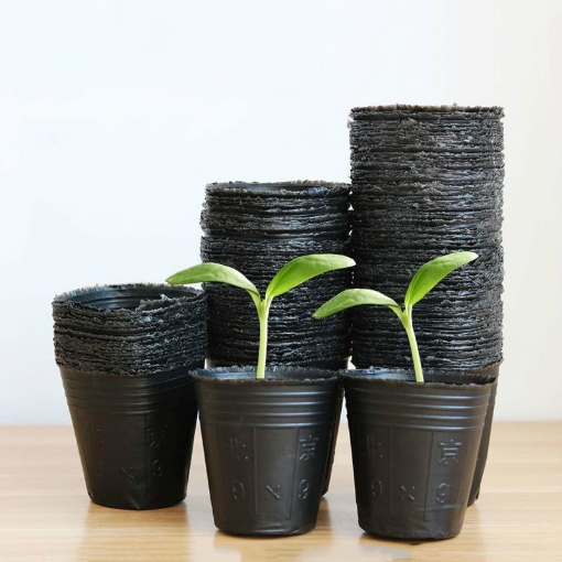 Picture of Bầu nhựa ươm cây BHS8x8, Chậu nhựa trồng và ươm cây giống Bầu Hoa Sen