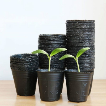 Ảnh của Bầu nhựa ươm cây BHS10x10, Chậu nhựa trồng và ươm cây giống Bầu Hoa Sen