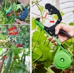 Ảnh của Máy buộc dây SUCA SC-8108 Dụng cụ buộc Cà chua, Nho, Dưa leo, Dây leo Suca, Buộc cây leo giàn