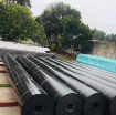 Ảnh của Bạt chống thấm HDPE, Bạt trải đầm tôm, Bạt nhựa lót hồ ao cá