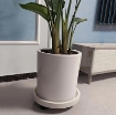 Picture of Giá để chậu hoa bằng nhựa DHB01, Kệ để chậu cây cảnh 4 bánh, Đế chậu cây có bánh xe lăn