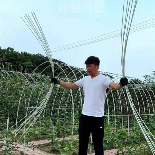 Ảnh của Khung vòm trồng rau FRP-5X0, Nan vòm sợi thủy tinh, Khung màng luống Rau Hoa gieo Mạ