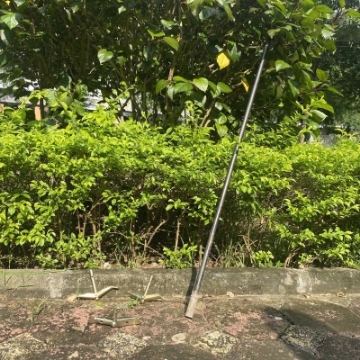 Ảnh của Cây đóng neo đất, Gậy hỗ trợ đóng neo đất