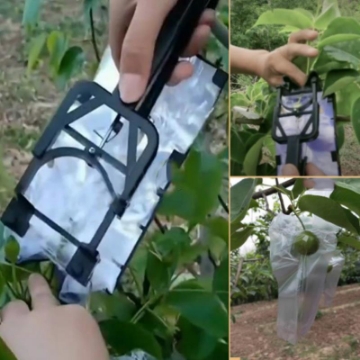 Ảnh của Máy bọc túi cho trái cây GLE1720, Máy bọc túi chống côn trùng, Máy bọc túi nilon