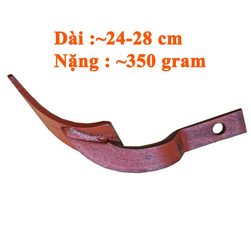 Răng đào đất [+48,000đ]