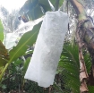 Ảnh của Túi vải bọc chuối BFB.TX, Túi bao chuối chuyên dụng, Túi vải địa kỹ thuật