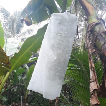 Ảnh của Túi vải bọc chuối BFB.TX, Túi bao chuối chuyên dụng, Túi vải địa kỹ thuật