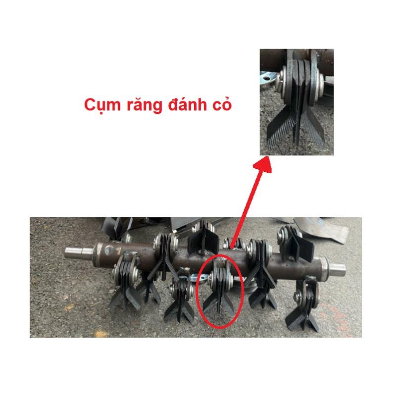 Cụm đánh cỏ C2D-5040 [+180.000đ]