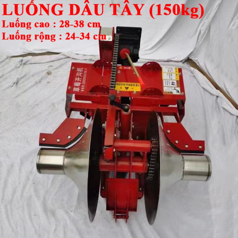 Lên luống Dâu Tây [+21.000.000đ]