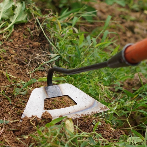 图片 Cuốc xới đất CN-22, Dụng cụ làm tơi xốp đất, Nạo cỏ trên đất