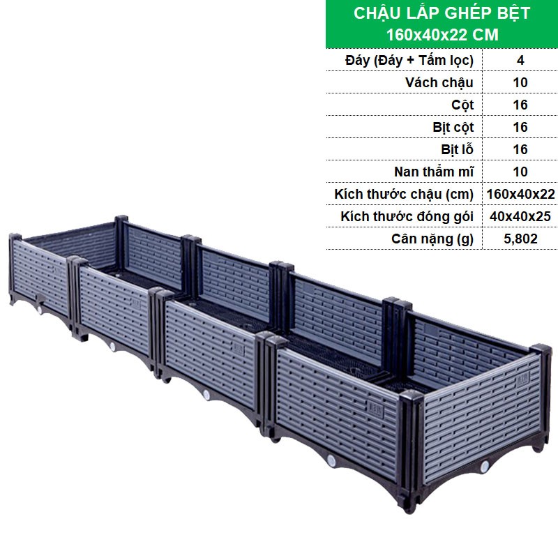 BỆT 160x40x22 CM [+449.000đ ]