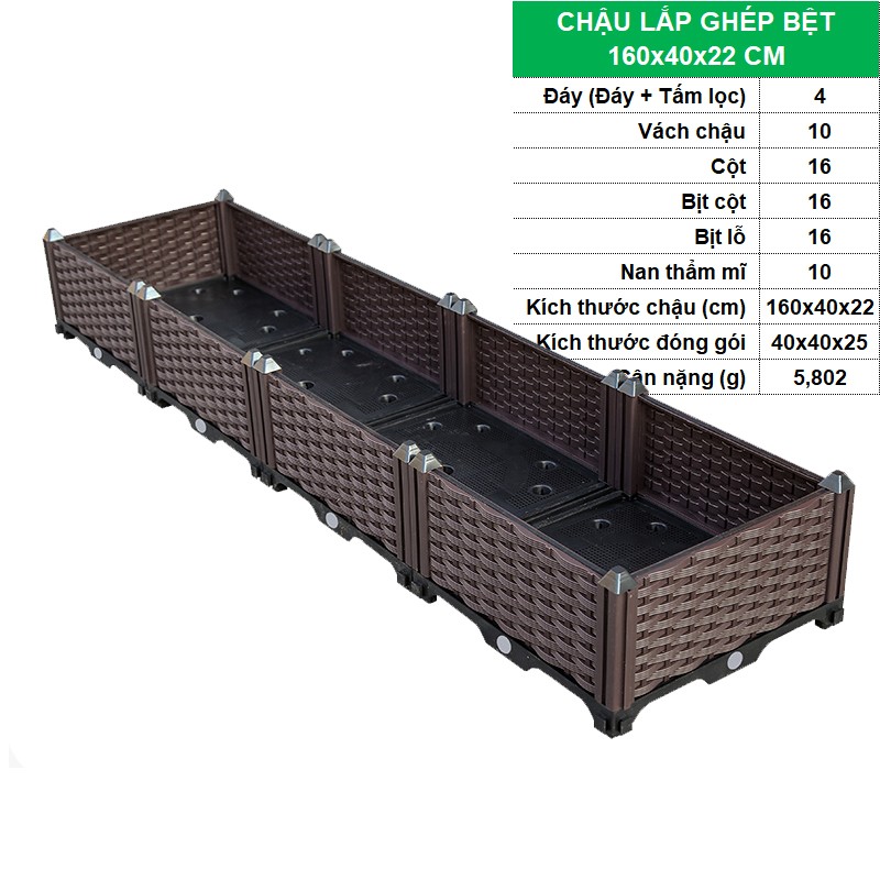 BỆT 160x40x22 CM [+515,000đ]