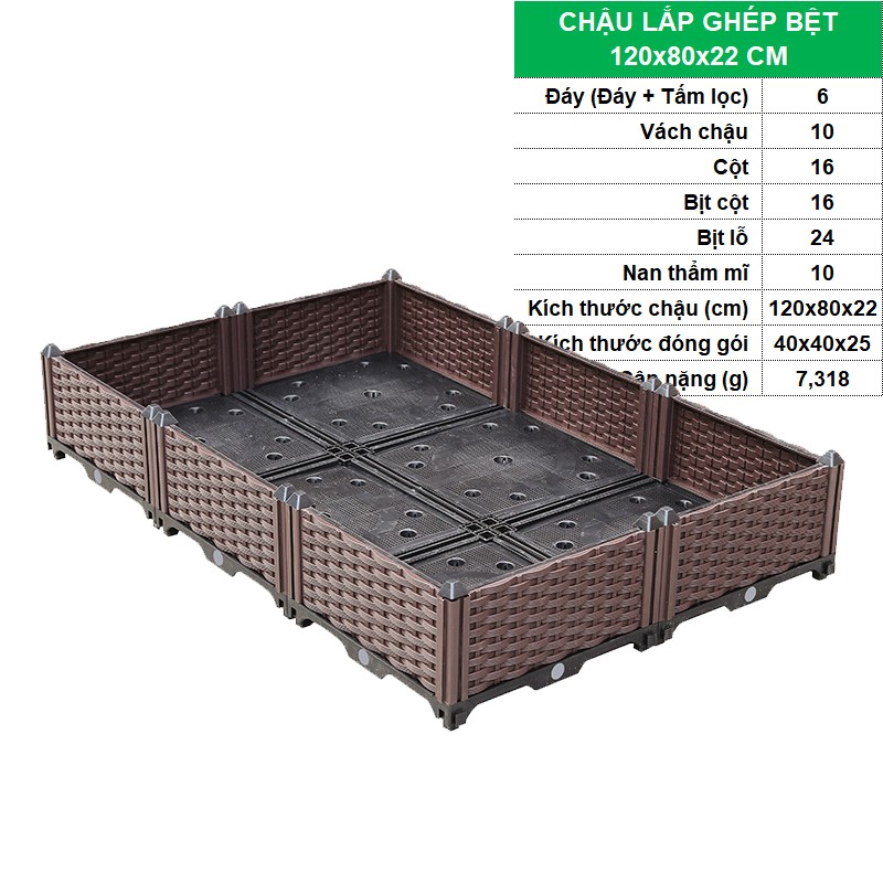 BỆT 120x80x22 CM [+650,000đ]