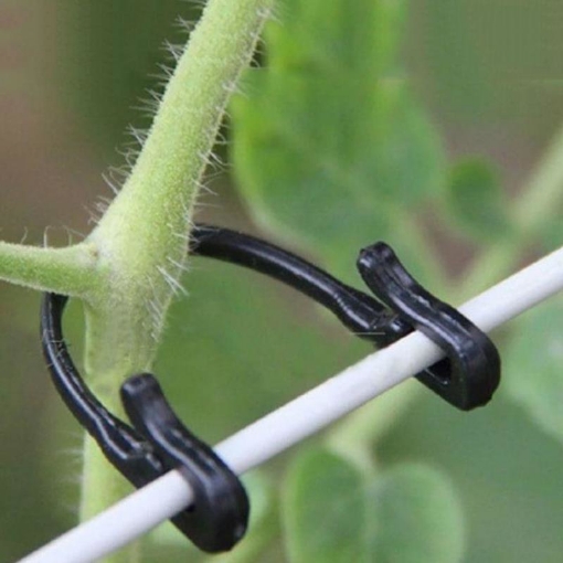 Ảnh của Kẹp nhựa cố định cây trồng KDL-K065, Kẹp treo Cà chua Dưa leo, Kẹp treo trái cây