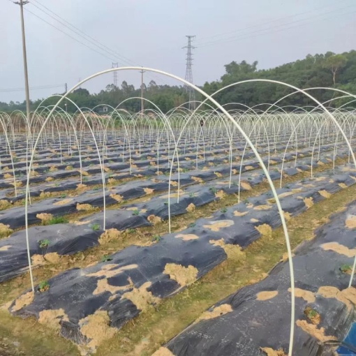 Ảnh của Khung vòm trồng rau Đường kính 5mm Dài 2.5m, Nan vòm sợi thủy tinh FRP-5X0