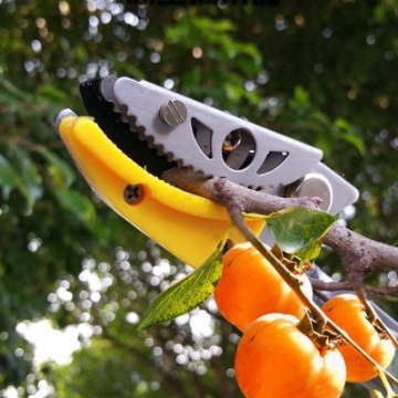 Ảnh của Dụng cụ hái quả HQ-5M, Sào hái trái cây trên cao có kẹp giữ dạng kéo 5m