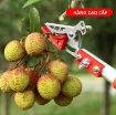 Ảnh của Dụng cụ hái quả HQ-5M, Sào hái trái cây trên cao có kẹp giữ dạng kéo 5m