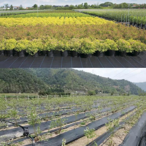 Picture of Bạt phủ nông nghiệp 90Gram Rộng 2.5m Dài 100m, Bạt giữ ẩm cho đất chống cỏ dại PP-90G