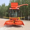 Ảnh của Máy thu hoạch Ngô sinh khối 4QZ-3000, Máy gặt thức ăn tươi cho gia súc