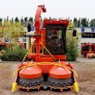 Ảnh của Máy thu hoạch Ngô sinh khối 4QZ-3000, Máy gặt thức ăn tươi cho gia súc