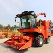 Ảnh của Máy thu hoạch Ngô sinh khối 4QZ-3000, Máy gặt thức ăn tươi cho gia súc