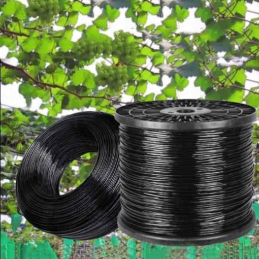 Gambar Dây nhựa làm giàn leo DGT-B10, Dây cáp nhựa trong suốt